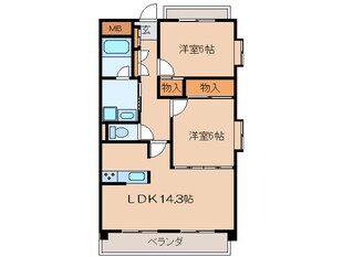 コンソランテの物件間取画像